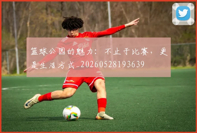 篮球公园的魅力:不止于比赛,更是生活方式_20260528193639