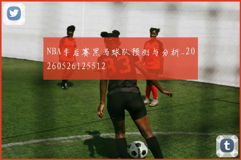 NBA季后赛黑马球队预测与分析_20260526125512