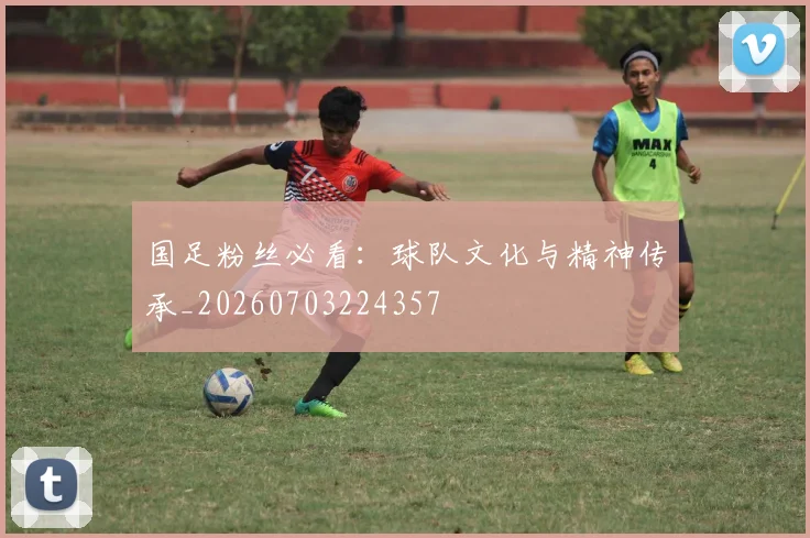 国足粉丝必看：球队文化与精神传承_20260703224357