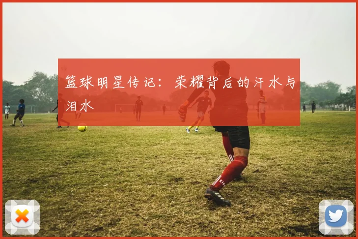 篮球明星传记:荣耀背后的汗水与泪水